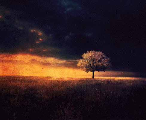 Day and night animated gif