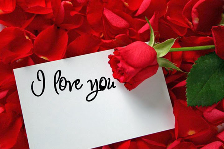 Homepage All My Love Flowers Eternal Love